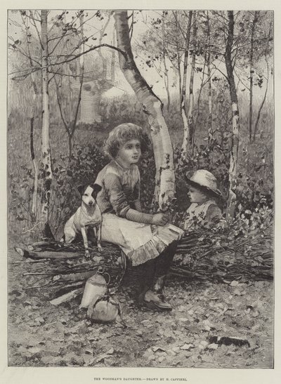 The Woodman